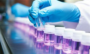 2024年中国不动产行业市场现状及重点企业经营情况(图3)