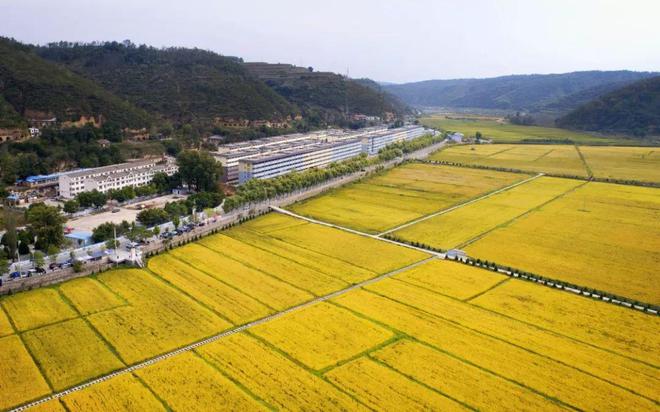 2024年土地改革带给农村和农民的红利是什么?(图3)