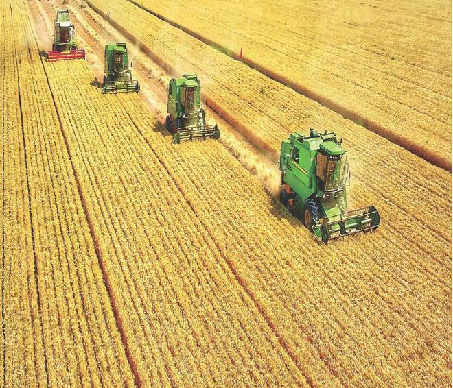 2024年土地改革带给农村和农民的红利是什么?(图2)