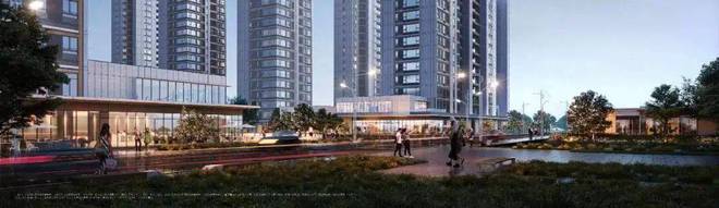 万科朗拾花语(2024年闵行)网站-朗拾花语楼盘详情-上海房天下(图5)