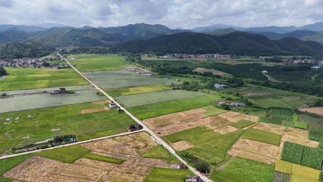 深圳2024年新晋独角兽数量全国居首｜早安广东(图2)