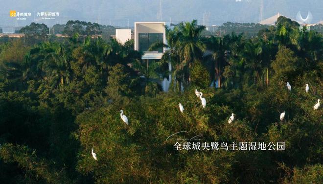 A股重上4000点为什么大家开始扎堆购置不动产?(图4)