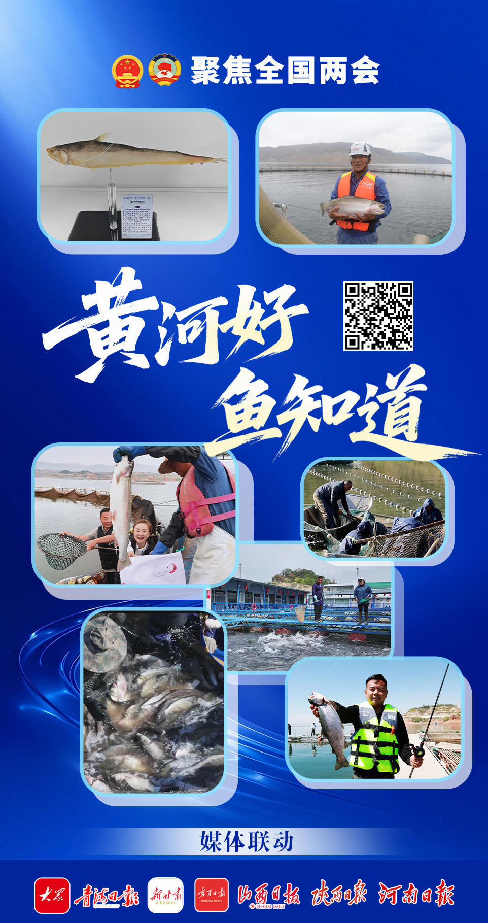 党媒联动｜黄河好鱼知道(图1)