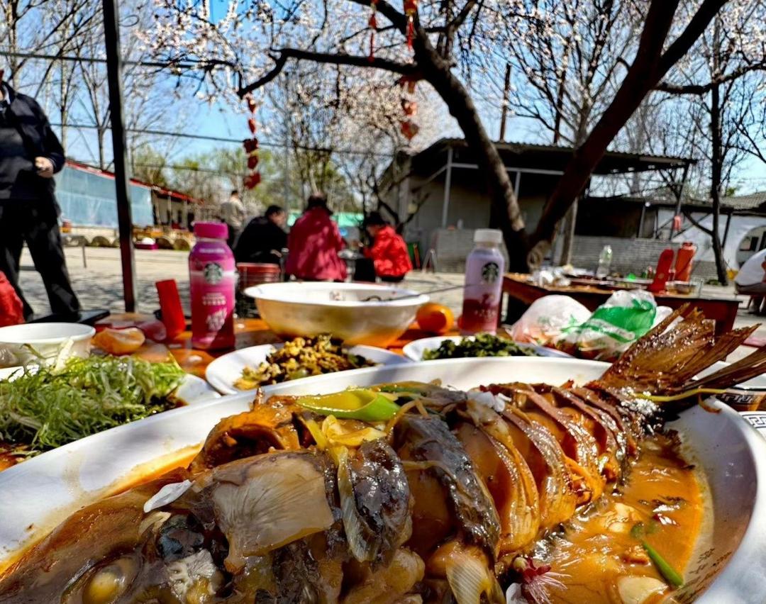 党媒联动｜黄河好鱼知道(图5)