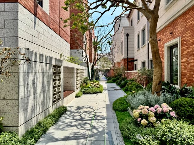 网易热搜瑞安翠湖滨江发布：翠湖滨江内环系顶奢恒产!(图4)